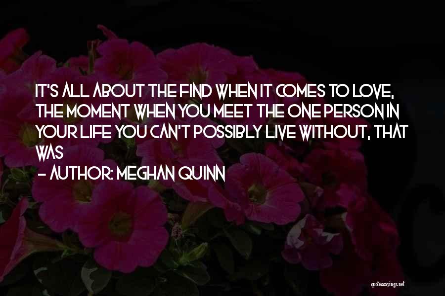 Meghan Quinn Quotes 1703538