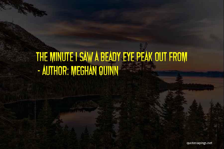 Meghan Quinn Quotes 762199
