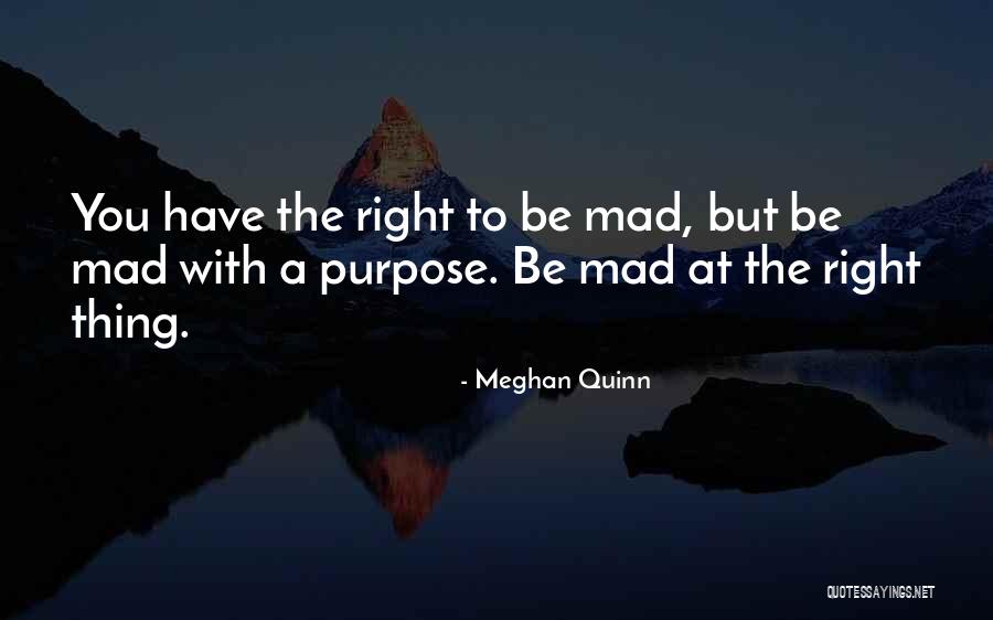 Meghan Quinn Quotes 959222