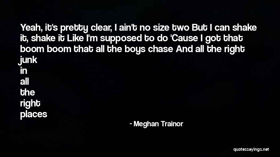 Meghan Trainor Quotes 644016