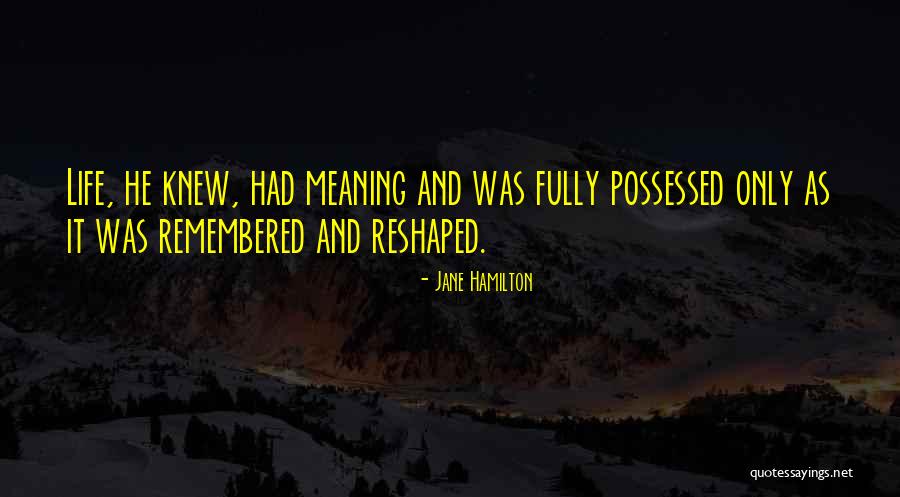 Meglepetes Quotes By Jane Hamilton Meglepetes Quotes By Jane Hamilton
