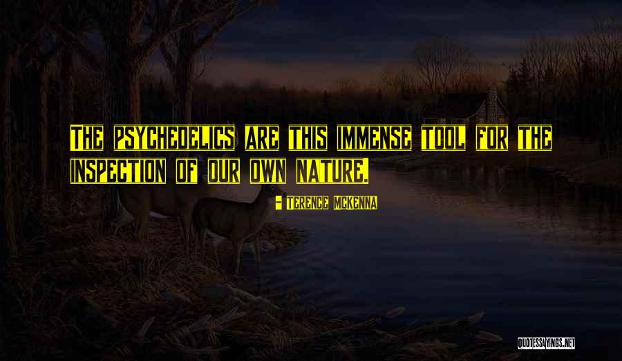Megobari Simgera Quotes By Terence McKenna Megobari Simgera Quotes By Terence McKenna