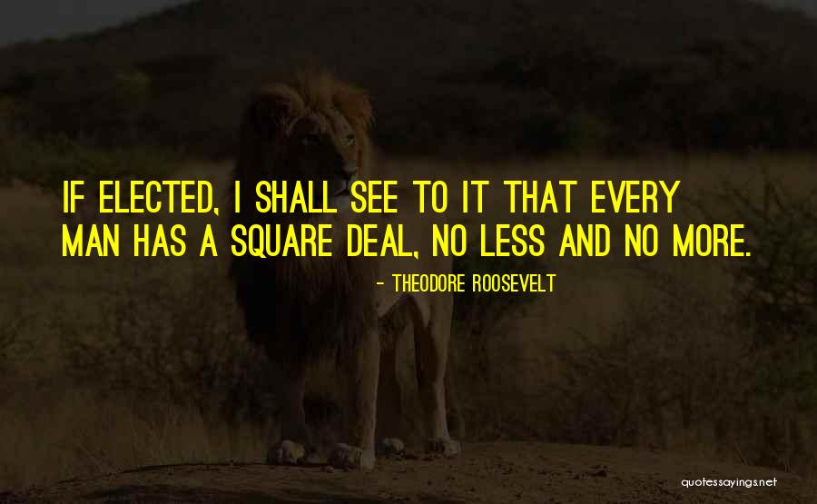 Mehdia Harissa Quotes By Theodore Roosevelt