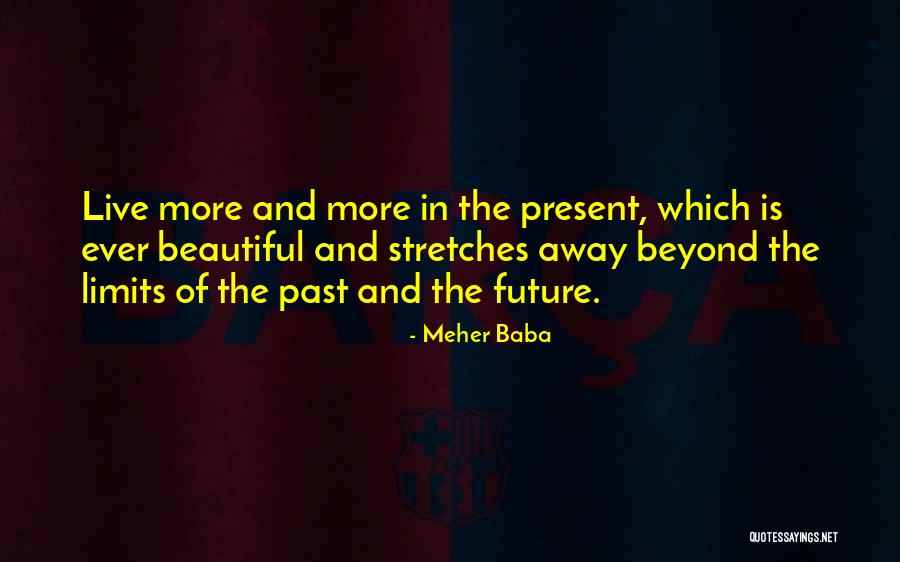 Meher Baba Quotes 179840