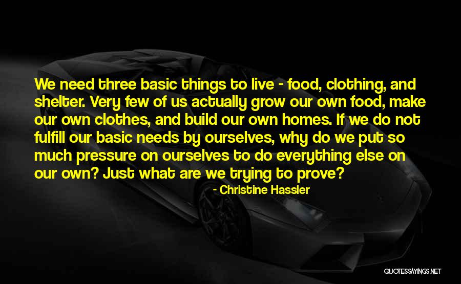 Mehis Heinsaar Quotes By Christine Hassler Mehis Heinsaar Quotes By Christine Hassler