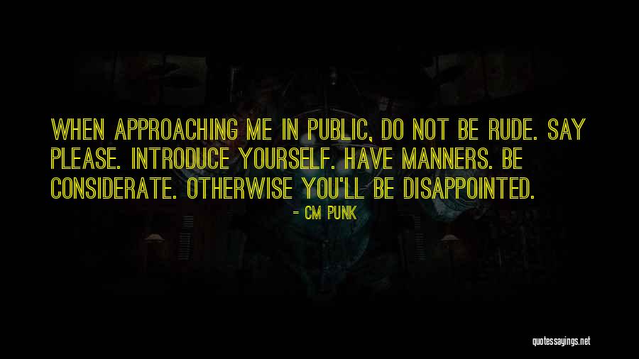 Mehlis Investigation Quotes By CM Punk