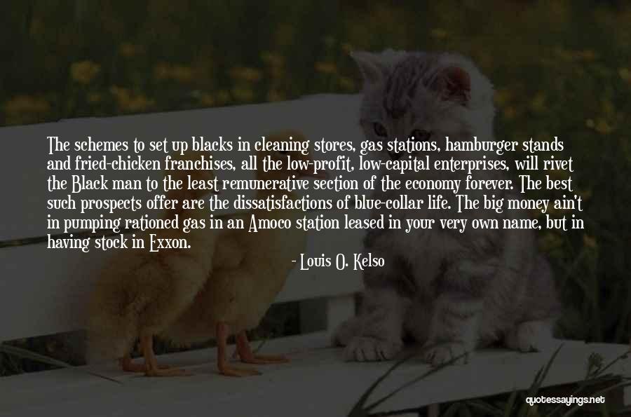 Mehmedovic Sda Quotes By Louis O. Kelso Mehmedovic Sda Quotes By Louis O. Kelso