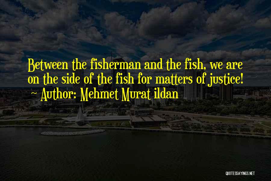 Mehmet Ildan Quotes By Mehmet Murat Ildan