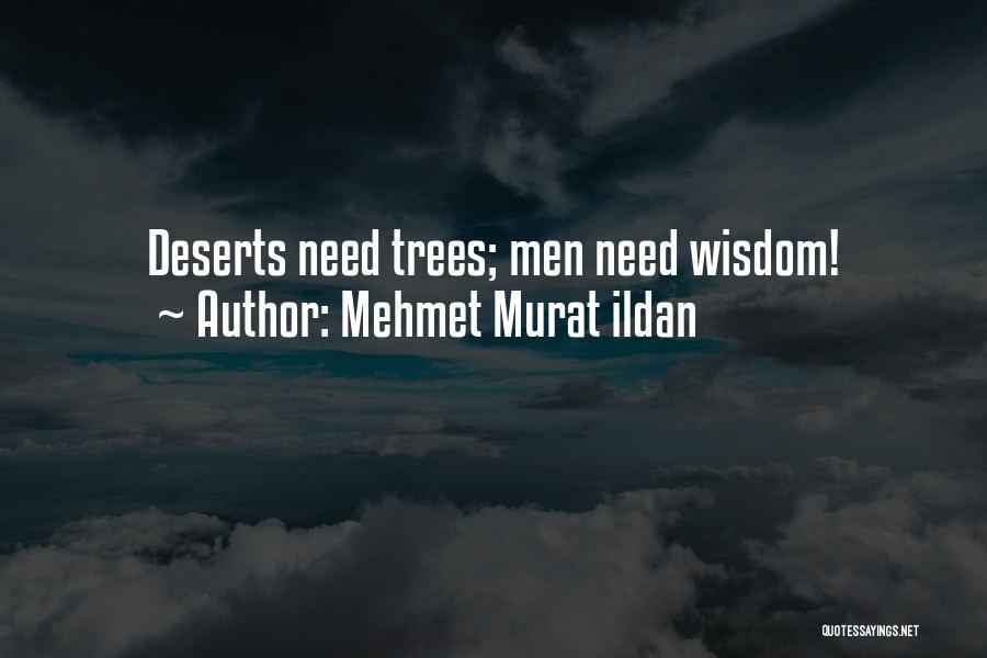 Mehmet Ildan Quotes By Mehmet Murat Ildan