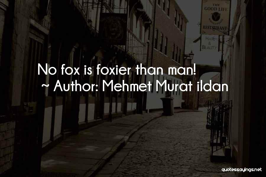 Mehmet Ildan Quotes By Mehmet Murat Ildan