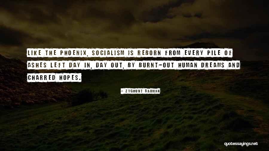 Mehmet Murat Ildan Aphorisms Quotes By Zygmunt Bauman Mehmet Murat Ildan Aphorisms Quotes By Zygmunt Bauman