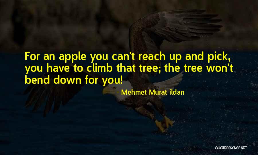 Mehmet Murat Ildan Quotations Quotes By Mehmet Murat Ildan Mehmet Murat Ildan Quotations Quotes By Mehmet Murat Ildan