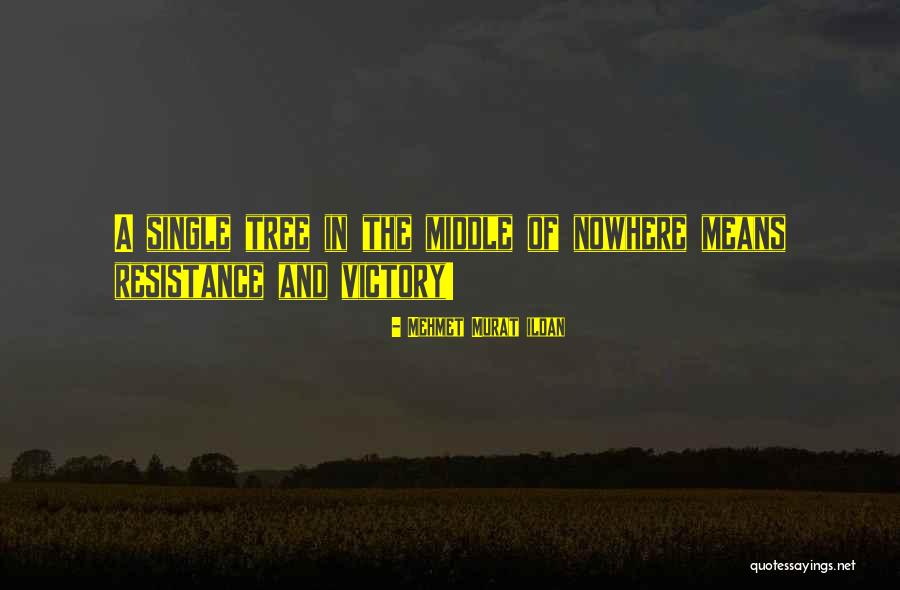 Mehmet Murat Ildan Quotations Quotes By Mehmet Murat Ildan Mehmet Murat Ildan Quotations Quotes By Mehmet Murat Ildan