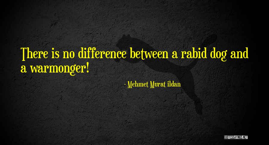 Mehmet Murat Ildan Quotations Quotes By Mehmet Murat Ildan
