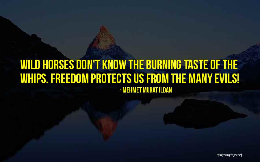 Mehmet Murat Ildan Quotes 1142471 Mehmet Murat Ildan Quotes 1142471
