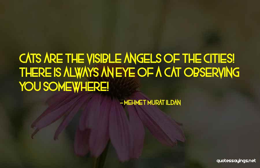 Mehmet Murat Ildan Quotes 1207605 Mehmet Murat Ildan Quotes 1207605