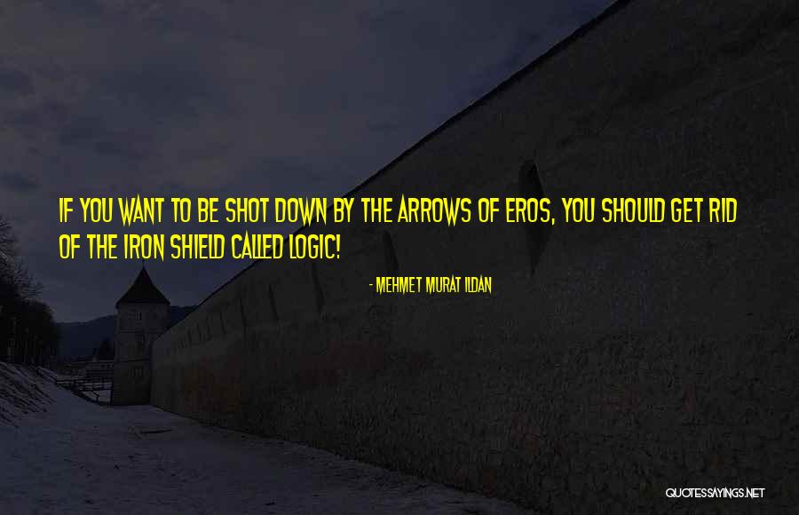 Mehmet Murat Ildan Quotes 1209229 Mehmet Murat Ildan Quotes 1209229