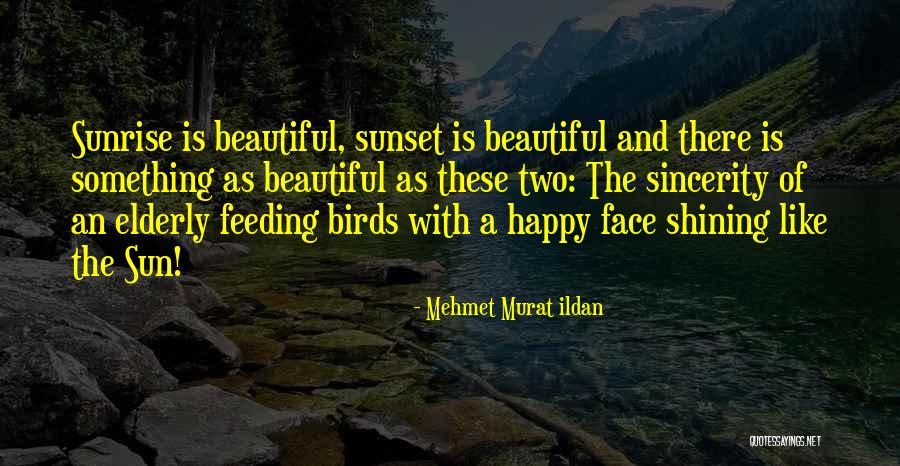 Mehmet Murat Ildan Quotes 1487187 Mehmet Murat Ildan Quotes 1487187