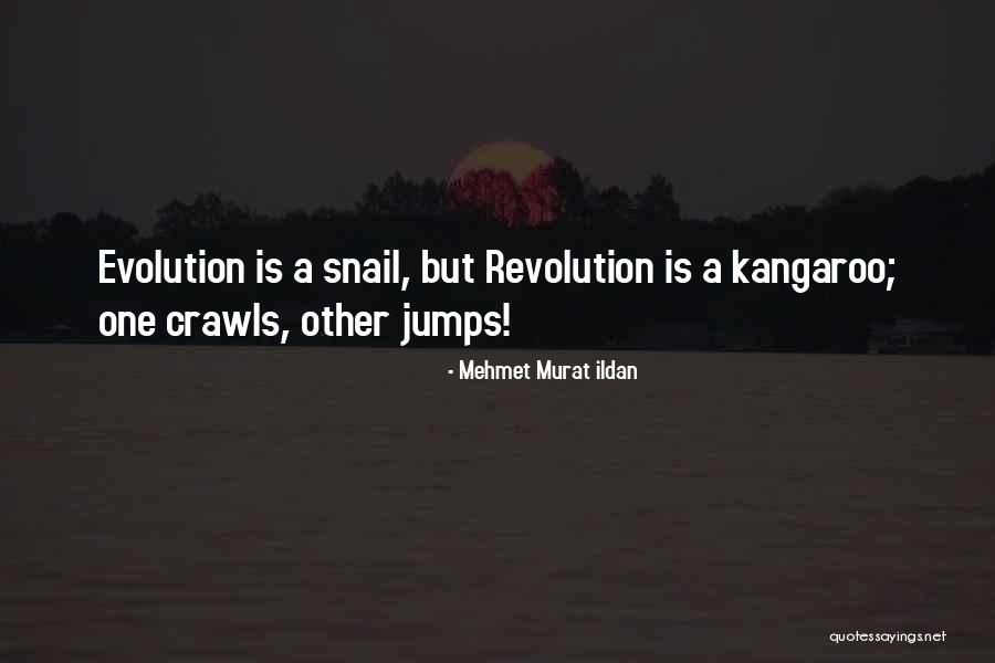 Mehmet Murat Ildan Quotes 1615650