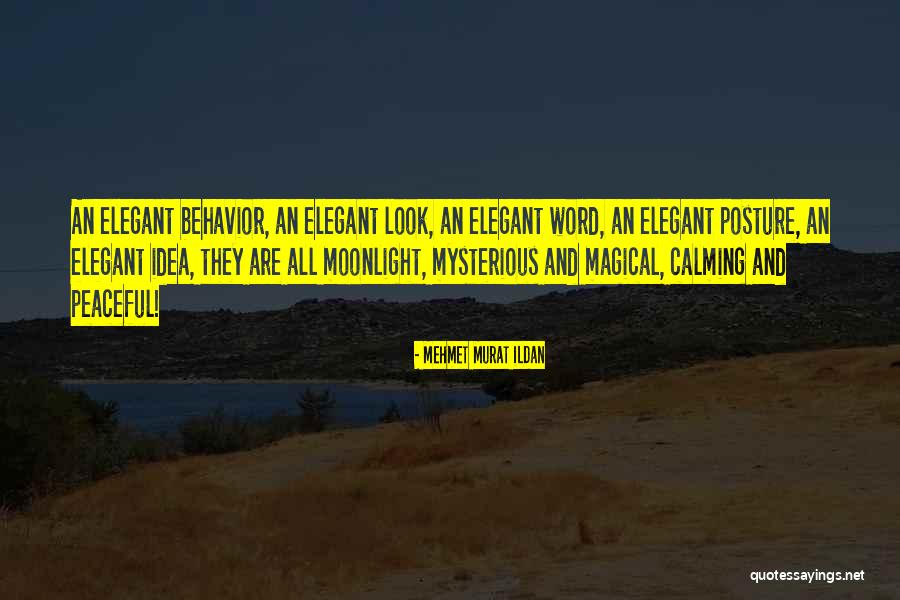 Mehmet Murat Ildan Quotes 2234133 Mehmet Murat Ildan Quotes 2234133
