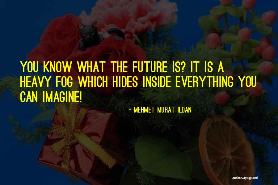 Mehmet Murat Ildan Quotes 242521 Mehmet Murat Ildan Quotes 242521