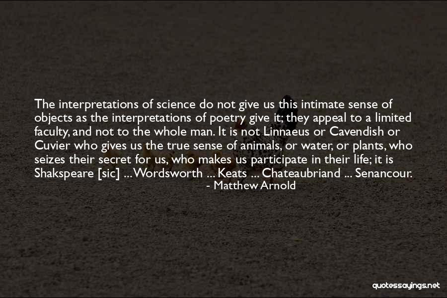 Mehmets Girlfriend Quotes By Matthew Arnold Mehmets Girlfriend Quotes By Matthew Arnold