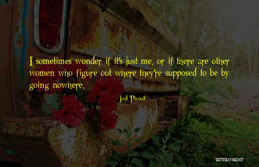 Mehrdad Sedighian Quotes By Jodi Picoult