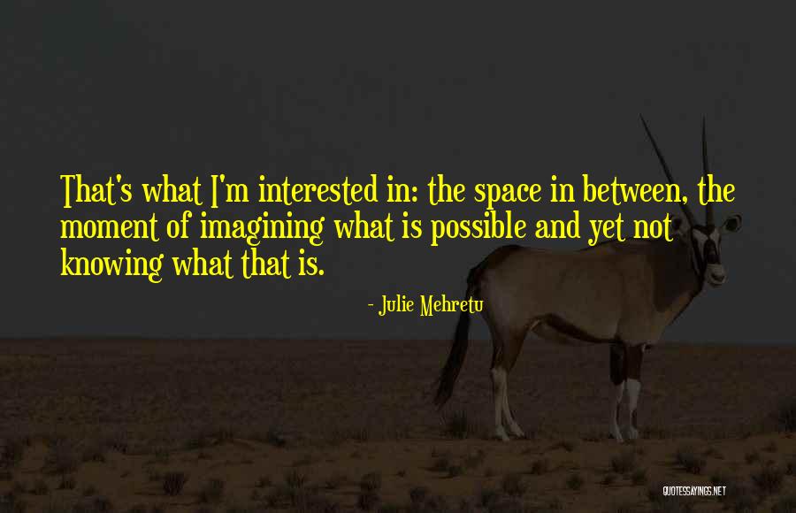Mehretu Quotes By Julie Mehretu Mehretu Quotes By Julie Mehretu