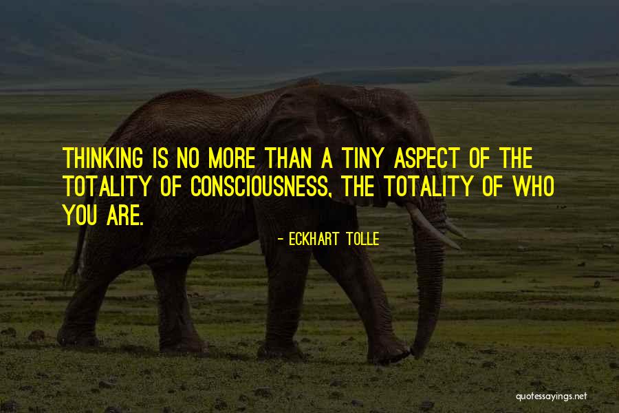 Mehrfachwerkzeug Quotes By Eckhart Tolle Mehrfachwerkzeug Quotes By Eckhart Tolle