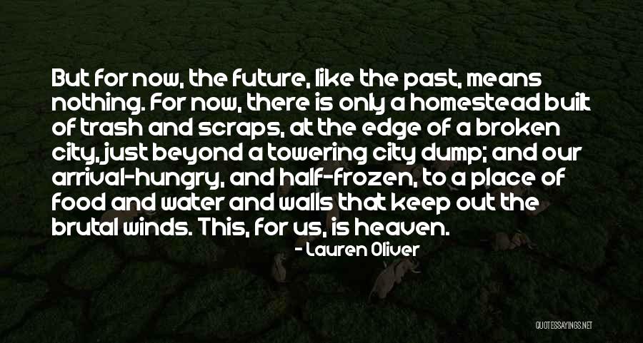 Mehrheitlich Quotes By Lauren Oliver Mehrheitlich Quotes By Lauren Oliver