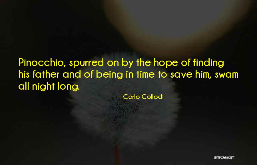 Mehrtash Malganji Quotes By Carlo Collodi Mehrtash Malganji Quotes By Carlo Collodi