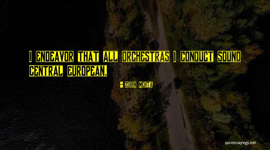 Mehta Quotes By Zubin Mehta Mehta Quotes By Zubin Mehta