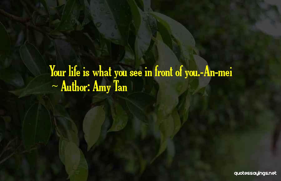 Mei Mei Quotes By Amy Tan