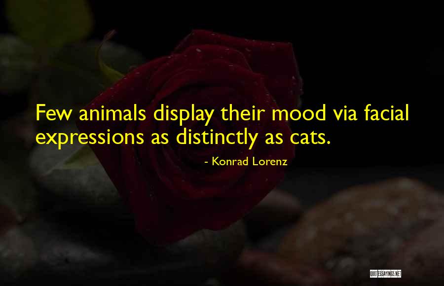 Meideya Quotes By Konrad Lorenz Meideya Quotes By Konrad Lorenz
