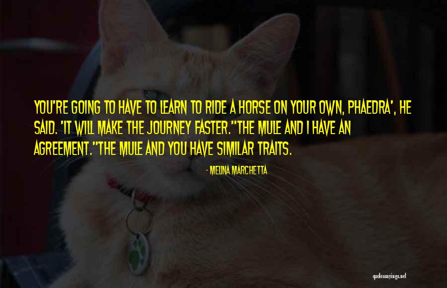 Meidtation Quotes By Melina Marchetta Meidtation Quotes By Melina Marchetta