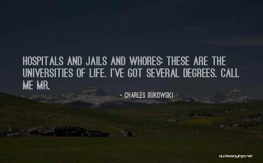 Meilland Rosiers Quotes By Charles Bukowski Meilland Rosiers Quotes By Charles Bukowski