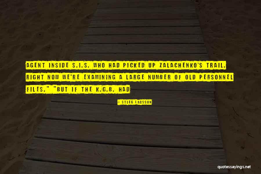 Meindert Zaalberg Quotes By Stieg Larsson Meindert Zaalberg Quotes By Stieg Larsson