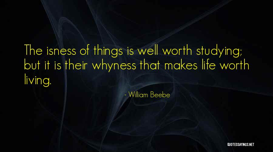 Meine Deutsche Quotes By William Beebe Meine Deutsche Quotes By William Beebe