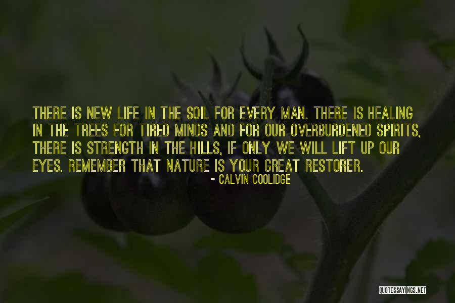Meinhardt Implement Quotes By Calvin Coolidge Meinhardt Implement Quotes By Calvin Coolidge