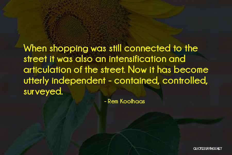 Meinrad Indiana Quotes By Rem Koolhaas Meinrad Indiana Quotes By Rem Koolhaas