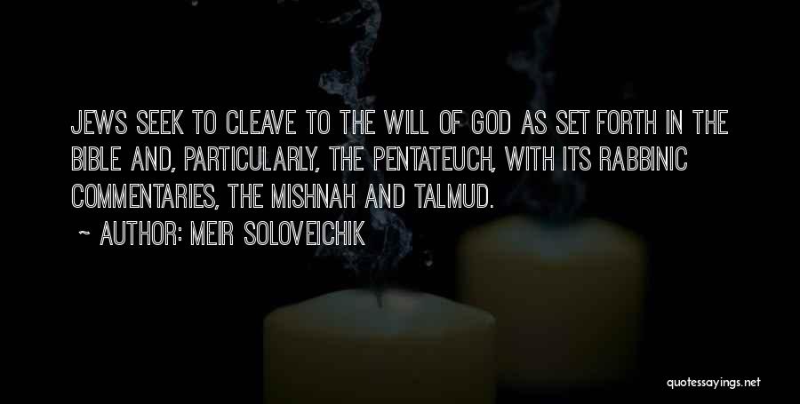 Meir Soloveichik Quotes 1358905