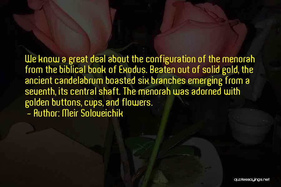 Meir Soloveichik Quotes 1524374