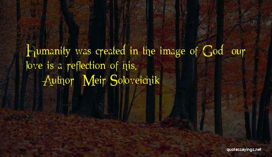 Meir Soloveichik Quotes 1821874