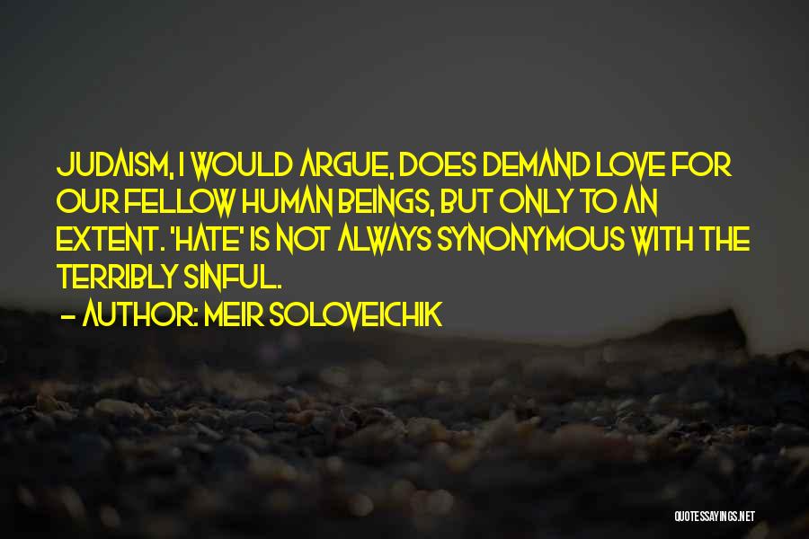 Meir Soloveichik Quotes 268260