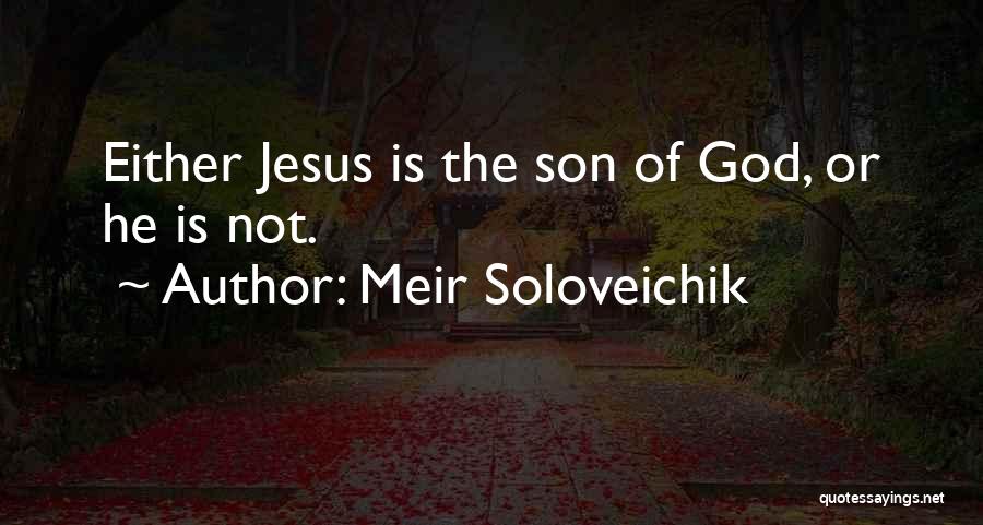 Meir Soloveichik Quotes 894587