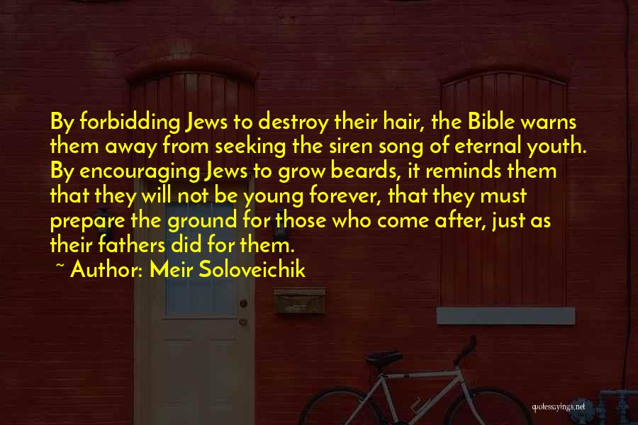 Meir Soloveichik Quotes 916860