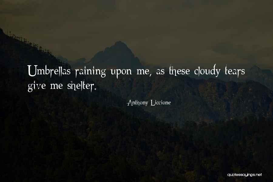 Meiselas Touch Quotes By Anthony Liccione Meiselas Touch Quotes By Anthony Liccione