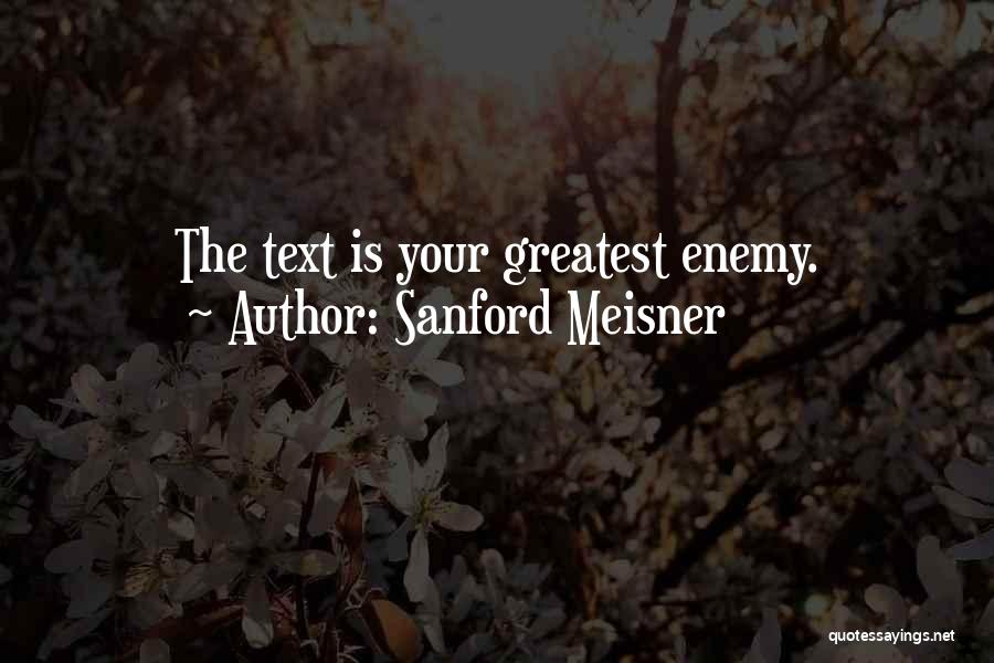 Meisner Quotes By Sanford Meisner