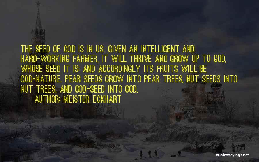 Meister Eckhart Quotes 1674184