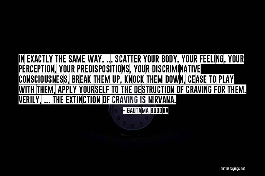 Meitler Herefords Quotes By Gautama Buddha Meitler Herefords Quotes By Gautama Buddha